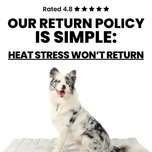 Bedsure Cooling Thin & Thick Mat for Dogs