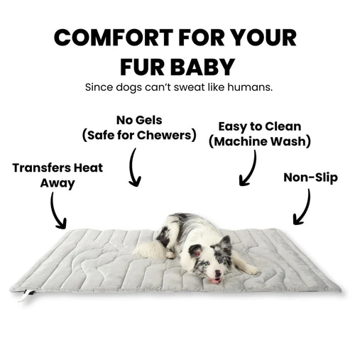 Bedsure Cooling Thin & Thick Mat for Dogs