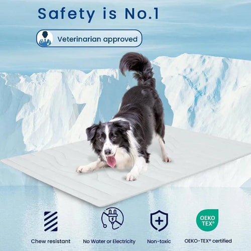 Bedsure Cooling Thin & Thick Mat for Dogs