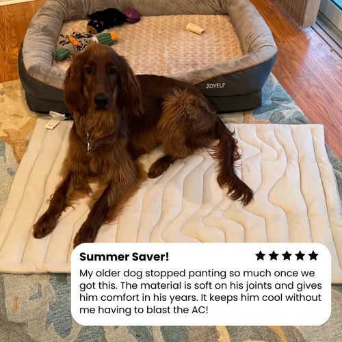 Bedsure Cooling Thin & Thick Mat for Dogs