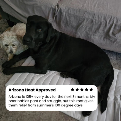 Bedsure Cooling Thin & Thick Mat for Dogs